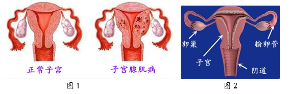 圖片1.png