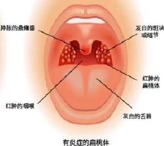 微信圖片_20240322101746.jpg