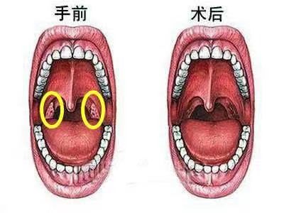 微信圖片_20240322101758.jpg